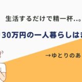 手取り30万 一人暮らし きつい