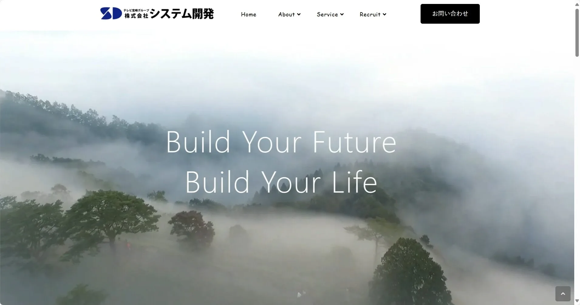 株式会社システム開発公式サイト